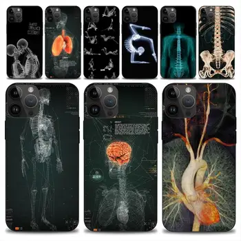 Radiacinės žmogaus organų Skeletas kaukolės Telefono dėklas Skirtas iphone 14 13 12 11 15 Pro Max Plius Mini X Minkštas Atveju