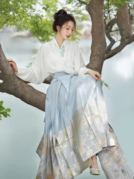 Hanfu Moterų Originalus Senovės Kinų Kostiumas Moterims Drabužių, Tradicinių Hanfu Šokio Kostiumai Arklių Veido Sijonas Liaudies Pasakų Suknelė
