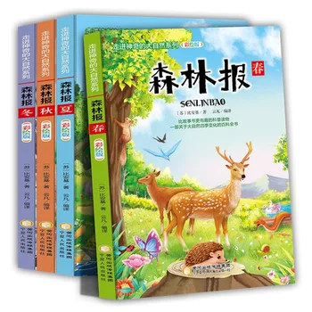 Vaikų Mokslo Populiarinimo Enciklopedija: Vaikščioti Į Magišką Gamtos Serijos Miško Ataskaita