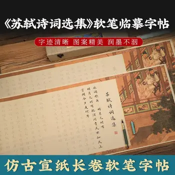 Su Dongpo poezijos surinkimo ilgai tūris reguliariai scenarijus kaligrafijos teptuku kopija Su Shi poezija, kaligrafija